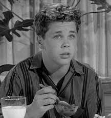 Mayfield Memories: Leave It To Beaver Reviewed