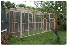 For The Quail Vogelhaus Ideen Vogelvoliere Kaninchengehege