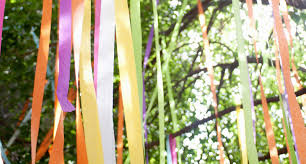 Karyn Barnes is fundraising for The Big Cat Sanctuary