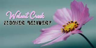 Walnut creek florist provides flower and gift delivery to the walnut creek, ca area. The 8 Best Options For Flower Delivery In Walnut Creek 2021