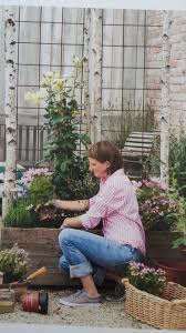 Sichtschutz Mein Schoner Garten Garten Garten Ideen Gewachs