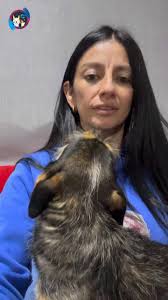 @AsociacionMi's video Tweet