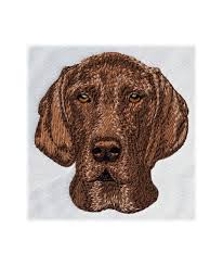 Image result for německý ohař krátkosrstý