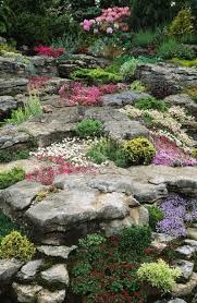 Very helpful as i'm planning an alpine garden. Rock Gardens Are The Ideal Way To Resolve Backyard Height Differences While Keeping Things Pr In 2020 Rock Garden Design Garden Landscape Design Landscaping With Rocks