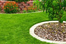 I would like to pull out all the roots and try to make a rock garden in this space which is about 8 feet wide and 7 feet tall. Landscape Ideas Around Trees