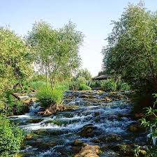 We did not find results for: Good Morning With This Beautiful View From Assiriver By Nour Bayan Lebanon In A Picture