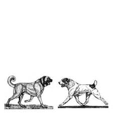 Kislaci Murat Instagram Photos Muratkarakalem Instagram Profil Instagram Profile User Profile In 2020 Kangal Dog Alabai Dog Dog Drawing