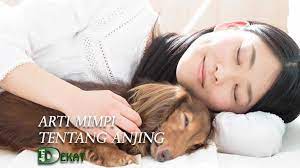 We did not find results for: Arti Mimpi Tentang Anjing Berdasarkan Ramalan Primbon Jawa Lengkap