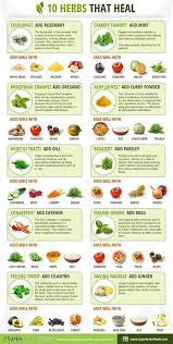 Food Chart For Ailments Herbs Health Remedies Medicinal