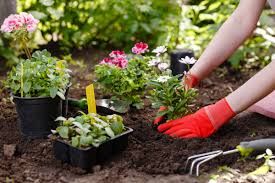 Garden Maintenance Checklist | Airtasker UK