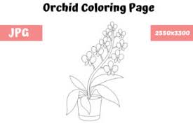 The homeland of orchids is considered to be tropical forests, where these plants feel great. Orchid Coloring Page For Kids Grafico Por Mybeautifulfiles Creative Fabrica