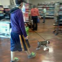 Pet store near me, pet supply store, dog food store, pet store. Choice Pet Market Pet Store In Chandler
