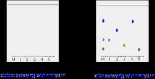 Paper Chromatography