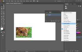 In illustrator cs2, we were introduced to the live trace feature that allowed us to trace raster images and convert them to vector artwork. How To Embed Images In Illustrator Howchoo
