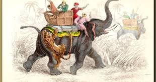 The Elephant Of India, Tiger Hunting ...