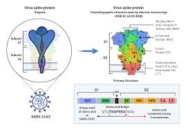 Find & download free graphic resources for logo. Novavax Vaccine Candidate Advancing Through Clinical Studies