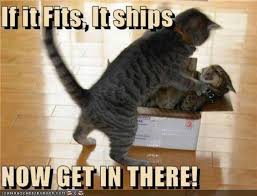 We Aim To Please At The Post Office Funny Cats And Dogs Funny Animal Memes Funny Animal Pictures