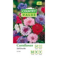 Country Value Tall Double Cornflower Seeds Seeds Cornflower Flower Garden