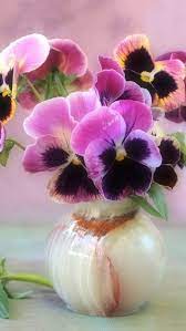 Pin By Lenchik Kib On Flowers Roses And Nature Love Pansies Flowers Beautiful Flowers Wallpapers Watercolor Flowers