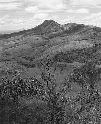 Image result for Aeschynomene pawekiae