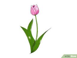 Belajar menggambar ragam hias flora untuk tugas sekolah.#ragamhiasflora #belajarmenggambar 9 Cara Untuk Menggambar Bunga Wikihow