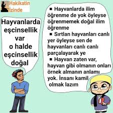 Hayvanlarda Da Escinsellik Var Oyleyse Bu Dogal Bir Sey Iddiasina Cevap 2020 Gercekler Hayvan Dogal