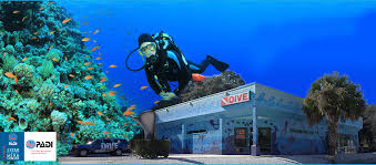However, most diver will tell you that it is extremely unsafe to go diving without the knowledge the scuba florida has well over 100 unique scuba diving sites, and you don't want to miss any of them. Dive Shop St Augustine Scuba Diving Jacksonville Fl Scuba Center Trip