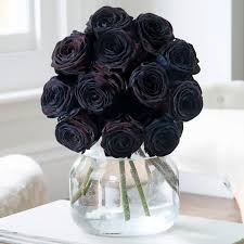 Flower patch delivers to all major cities and communities along the wasatch front. Black Roses
