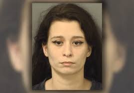 Three pit bulls found neglected in West Palm Beach home; Owner accused of  animal cruelty