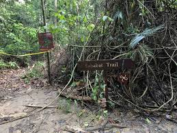 Rute dari area sikkim hanya pernah sukses digunakan sebanyak tiga kali sebelum akhirnya ditutup oleh pemerintah india pada tahun 2000. Bukit Denai Tiga Puteri Kota Damansara Afiq Halid