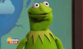 Image result for kermit memes