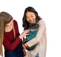 We Love Our Pets! - Stephens College