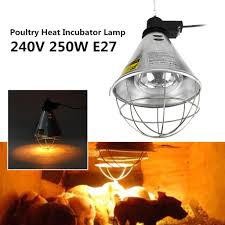 2020 popular 1 trends in home & garden, lights & lighting, sports & entertainment, tools with pet uvb and 1. Buy 250w Poultry Heat Incubator Lamp Infrared Light Red Bulb For Reptile Pet Brooder At Affordable Prices Price 30 Usd Free Shipping Real Reviews With Photos Joom