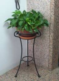 平常但不平凡的黃金葛 園藝部落格 igarden 花寶愛花園園藝文摘plus home decor decor table