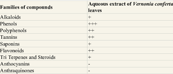 Image result for Vernonia conferta