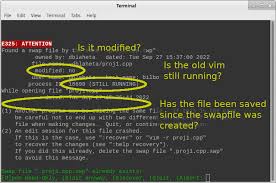 How to handle swapfiles in Vim