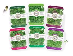 Food Hub Feasibility Study For Northern New Jersey