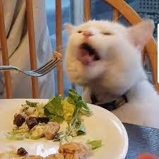 Pin On Funny Memes