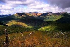 Mont Ernest Laforce Parc De Gaspesie Quebec Canada Quebec City Places To Go Mountains