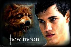 Team Switzerland Day: New Moon Explosion!, twilight jacob wolf HD wallpaper 