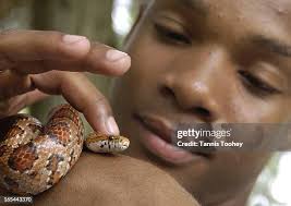 74 James Toohey Stock Photos, High-Res Pictures, and Images