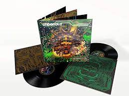Shpongle nothing lasts remastered out now: Shpongle Nothing Lasts But Nothing Is Lost Exclusive Limited Edition Remastered 2x Lp Vinyl Set Amazon Com Music