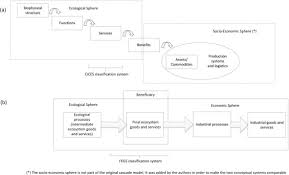 ecosystem services classification a systems ecology