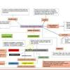 Definicion de juegos deportivos que es significado y concepto from definicion.de. 1