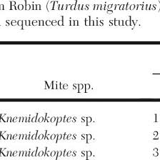 PDF) KNEMIDOKOPTES MITES AND THEIR EFFECTS ON THE GRIPPING POSITION OF THE  FEET OF STELLER'S JAYS (CYANOCITTA STELLERI)