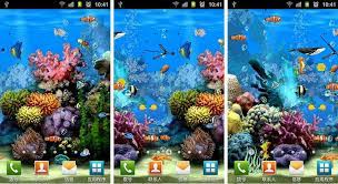 A 3d rendered live wallpaper background of a tropical fish tank, with beautiful backgrounds and smooth motion. Best Aquarium And Fish Live Wallpapers For Android Android Authority