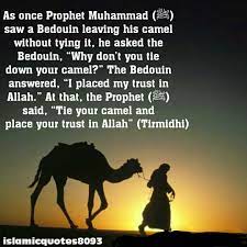 The master said, trust in allah but tether your camel first — because allah has no other hands than yours. if he wants to tether the camel he will tether the camel and then trust allah.you will ask, then why trust allah if you are tethering the camel? — because a tethered camel can also be stolen. Yousra Taj Yousrataj Twitter