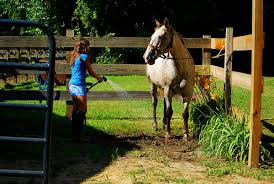 Located in van buren county, michigan. Lake Of The Woods Camp For Girls Decatur Mi