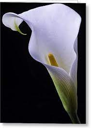 Pin On Nature Pics