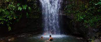 The Official Website Of The Grenada Tourism Authority Tourism Grenada Outdoor